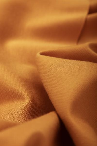 Милано (ГОРЧИЦА - 173)