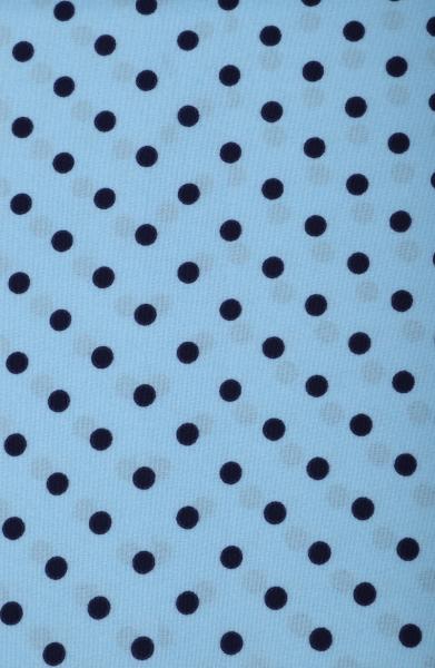 Ниагара принт (ГОРОХ ГОЛУБОЙ 5ММ - 2)